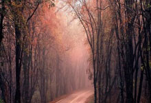 转折点上海久事伤情更新，欧篮联集结日攻防权衡，气氛紧张，阵容厚度经受考验的简单介绍-必威平台